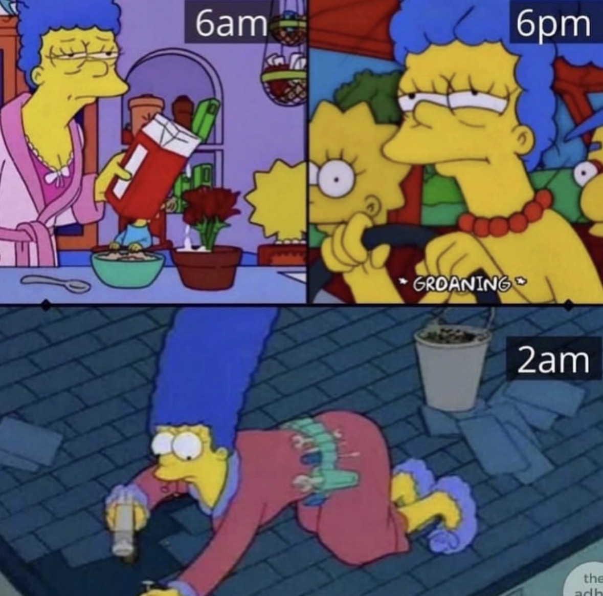 Respectful Memes (@respectfulmemes) on Twitter photo 