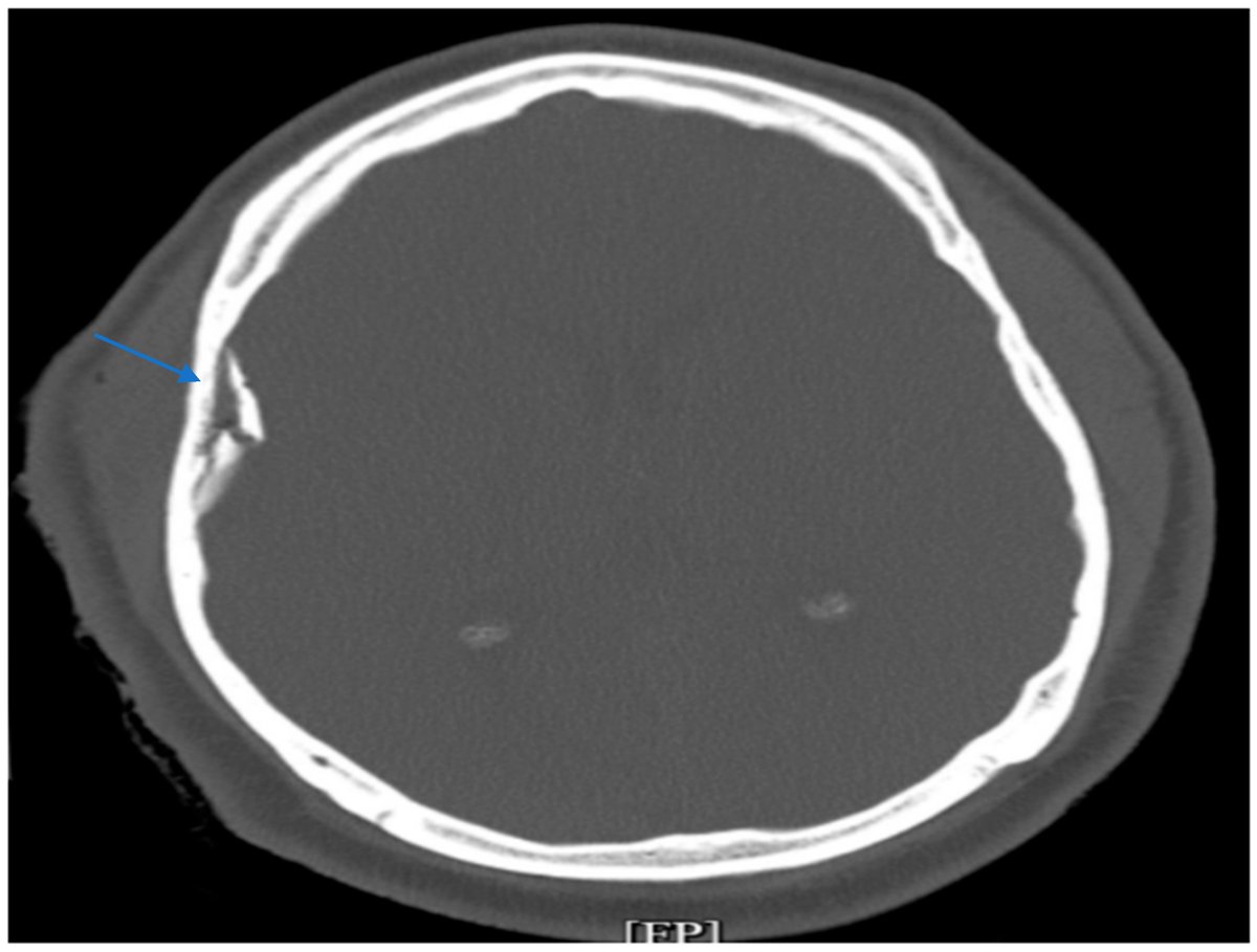 Cardiovascular Medicine tweet media