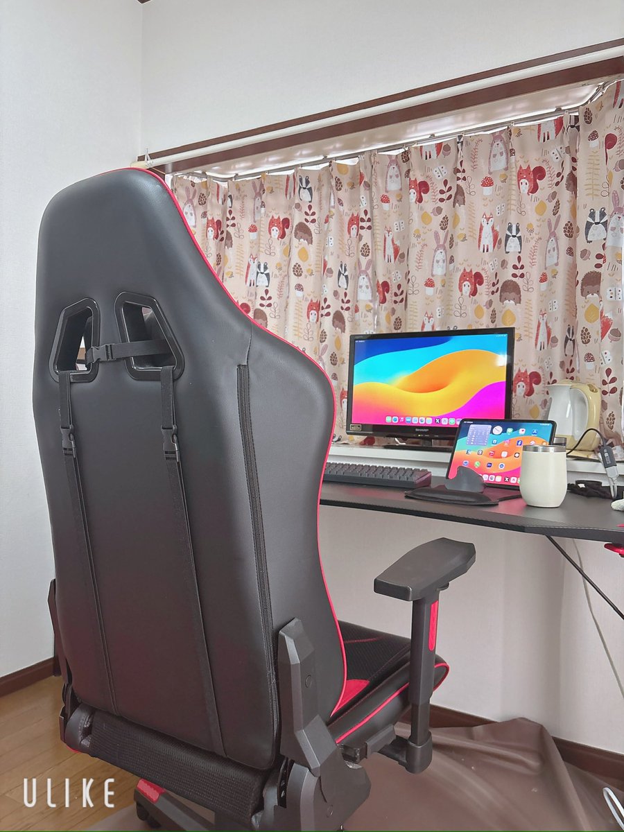 亀ちゃん tweet media