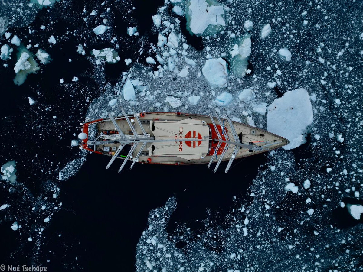 Polar POD Expédition tweet media