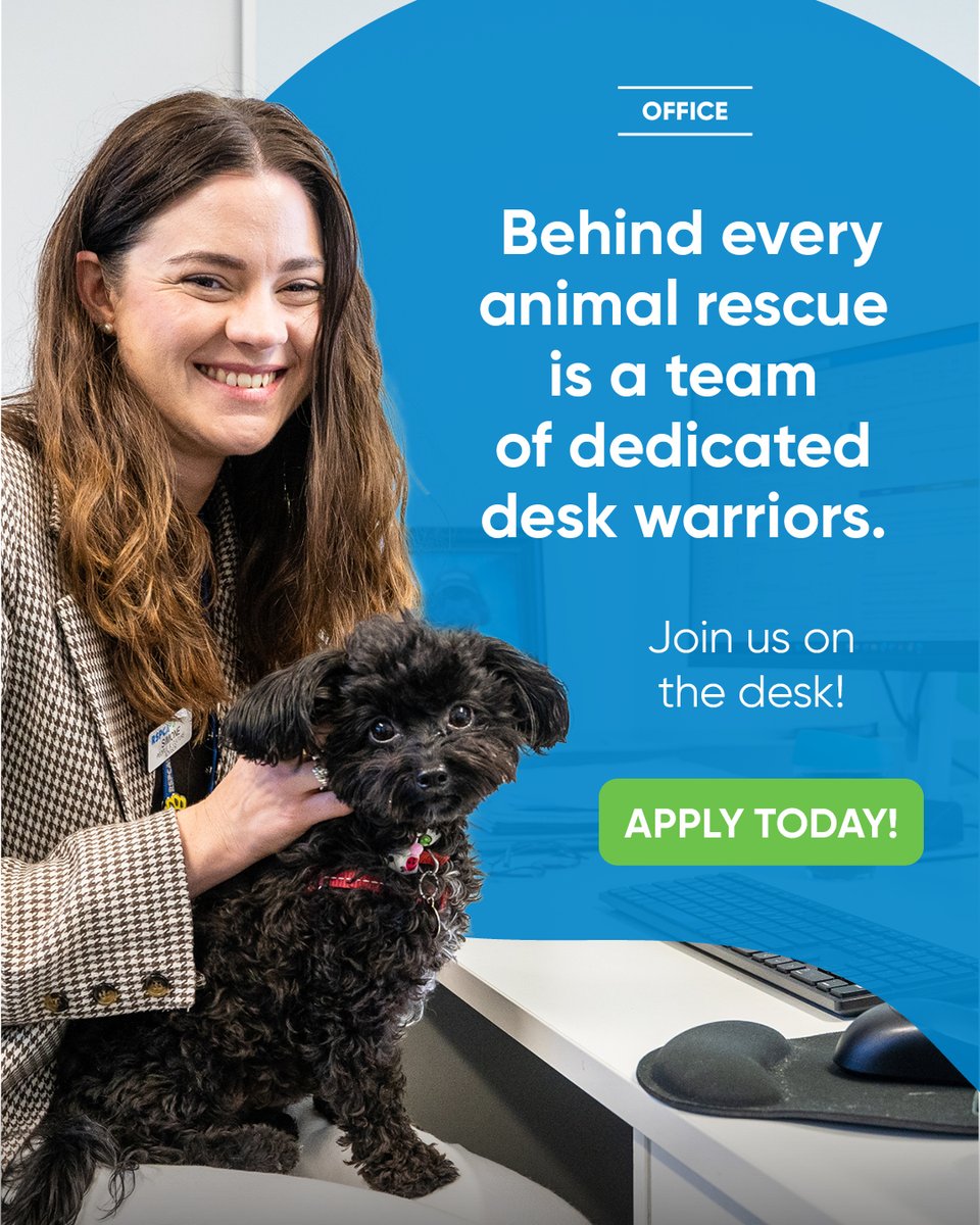 RSPCAQld's tweet photo. 🙋‍♀️ We're Hiring 🐶🐱
Have a certain set of skills and a passion for changing lives? Join the team 👉 https://t.co/jL3VsEx4g4

❤️ Donor Relationship Lead - Wacol
🤝 Partnership Specialist - Wacol
👚 Op Shop Manager - Indooroopilly
👩‍⚕️ Range of roles in our Domestic Hospital - Wacol https://t.co/Up7ShbVQcH