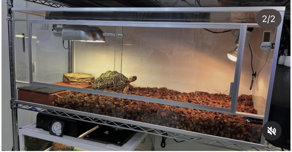 龍匠オリジナルオーダーケージ®︎ (@ryuushyou164) / Posts / X