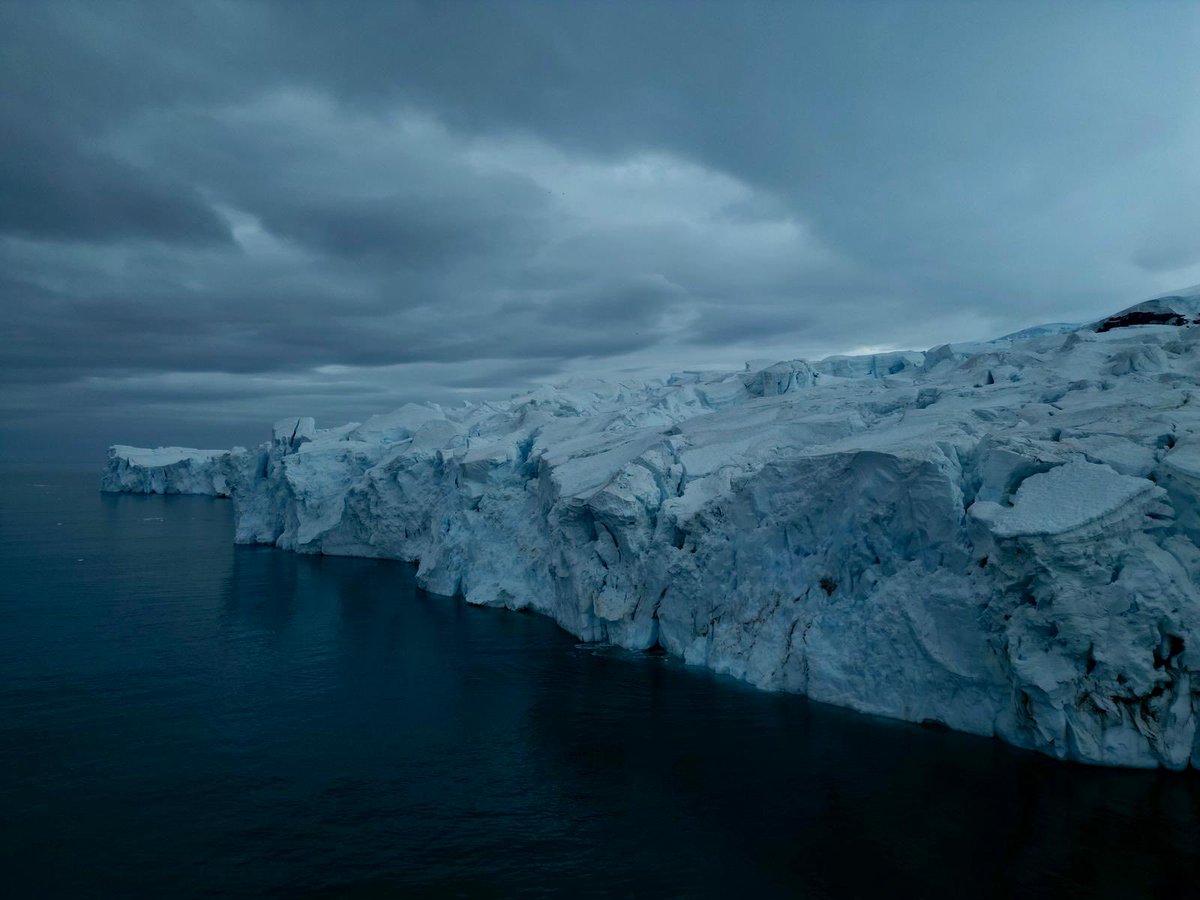 Polar POD Expédition tweet media