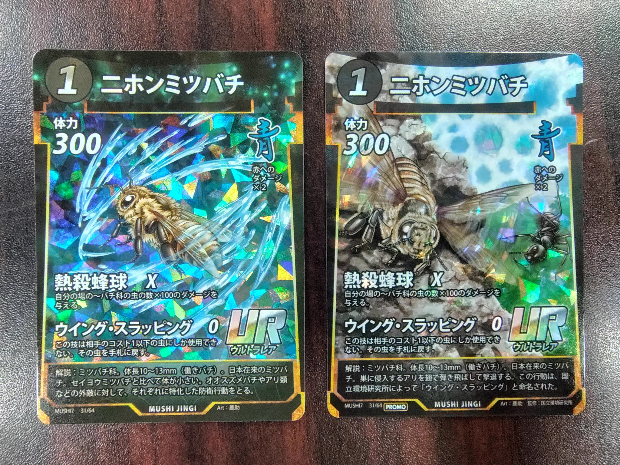 Bee Team, NIES/ 国立環境研究所 ミツバチ研究チーム on X: 
