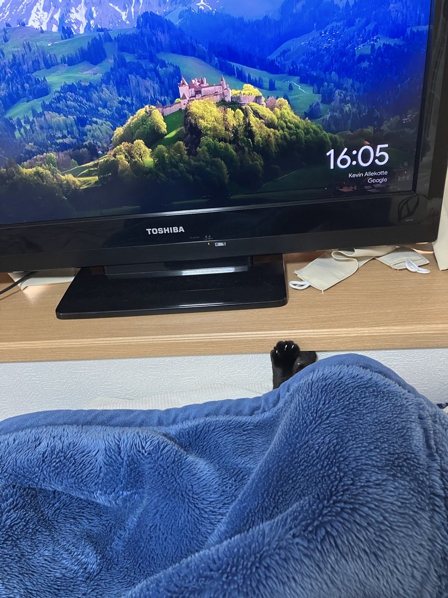 お分かり頂けるだろうか