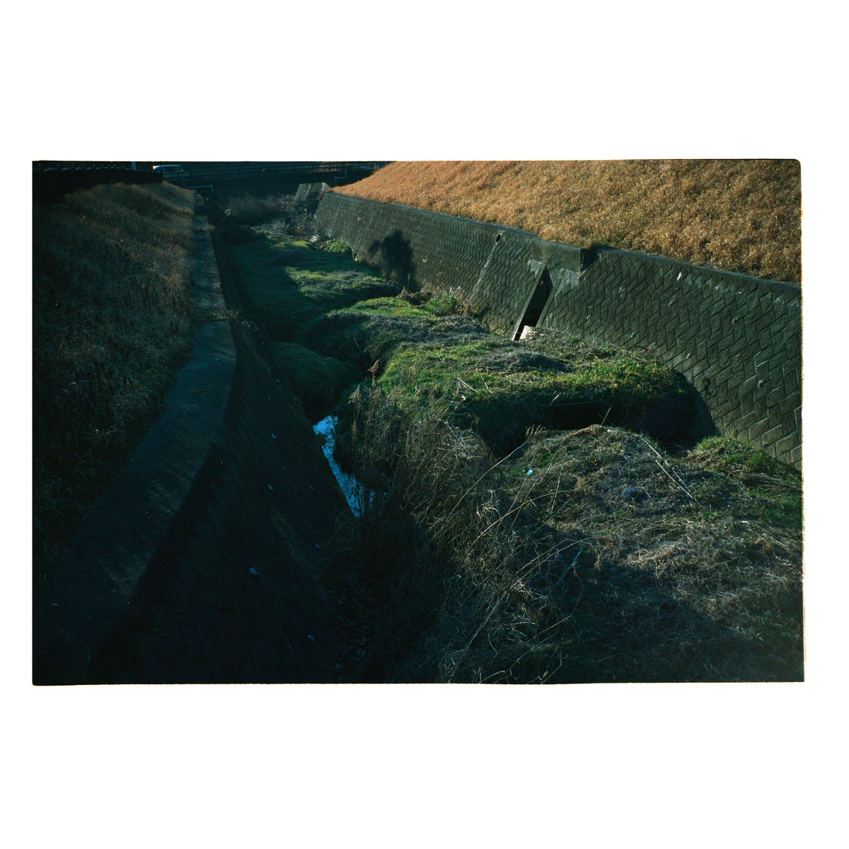 umi_yama_machi's tweet photo. #房総 #田舎の風景 #どこにでもあるここにしかない風景 #フィルムカメラ #filmcamera #contaxrts #contaxt2 #carlzeiss #distagon28mm #distagon25mm #planar50mm #kodak #portra400 #コイデカメラ #コイデカメラ木更津総合店 #NewTopographics #海と山と街と写真と https://t.co/Tev4embRkq