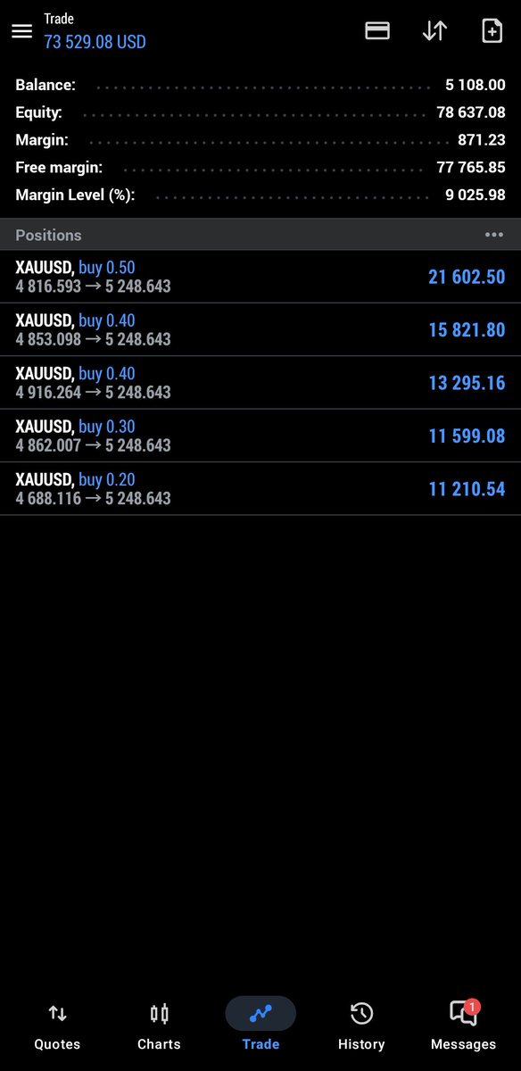 Lex 🔌📈 tweet media