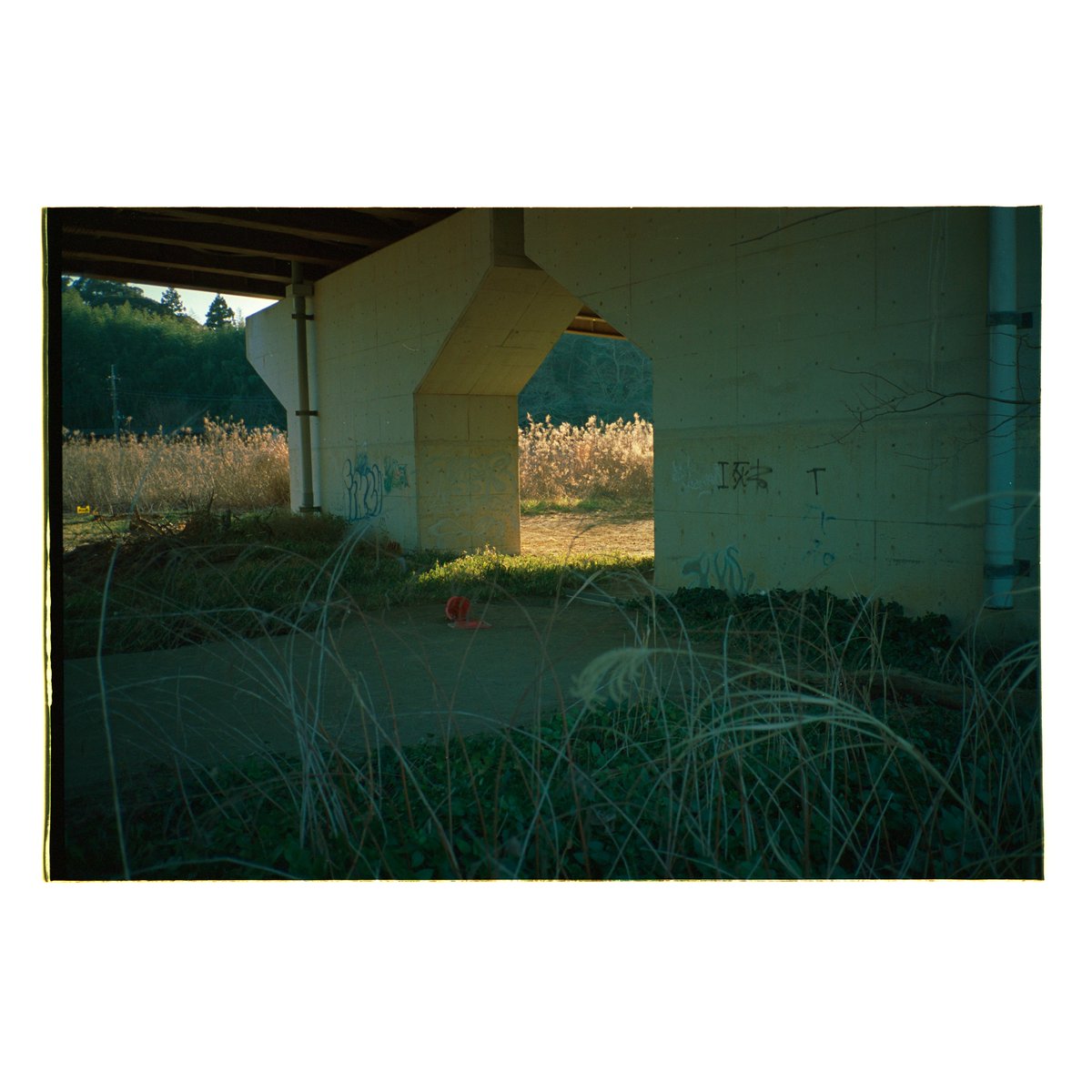 umi_yama_machi's tweet photo. #房総 #田舎の風景 #どこにでもあるここにしかない風景 #フィルムカメラ #filmcamera #contaxrts #contaxt2 #carlzeiss #distagon28mm #distagon25mm #planar50mm #kodak #portra400 #コイデカメラ #コイデカメラ木更津総合店 #NewTopographics #海と山と街と写真と https://t.co/aCbleqnPoa