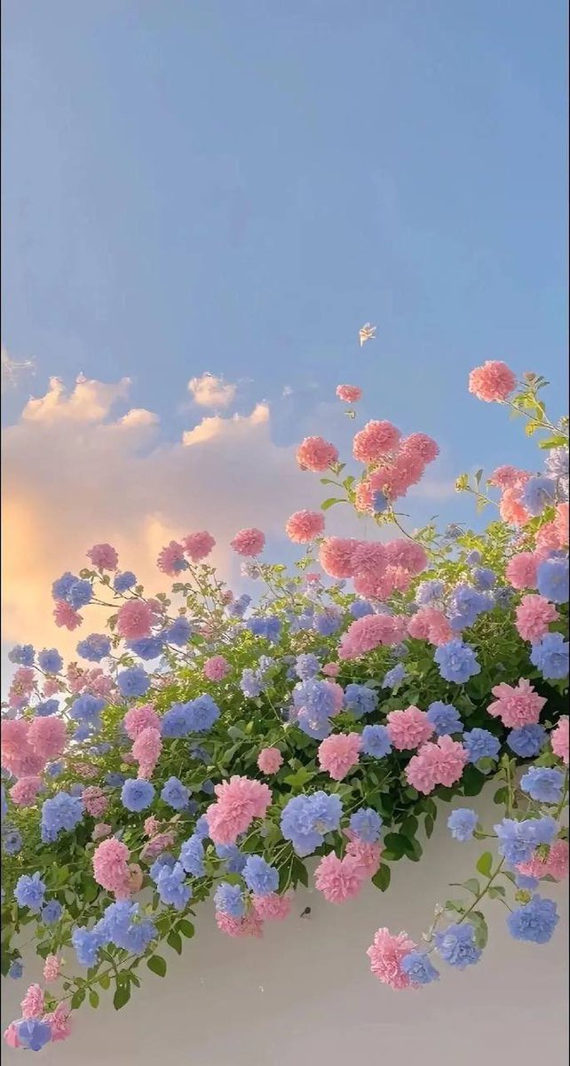 🌱🌱🍂
اللهُم جبرا يتعجب لهُ أهل الأرض وأهل السماء ، اللهم أرنا الفرح في كل ما نريد ، يارب العوض الجميل بعد الصبر الطويل ، اللهُم درباً لا تضيق به الحياة وقلباً لا يزول منهُ الامل ، يارب إزرع في قلوبنا راحة دائمة وأمل لا يخيب ، اللهُم طمأنينة وثبات لا سُقوط ولا تعثر.ولكل من تقع