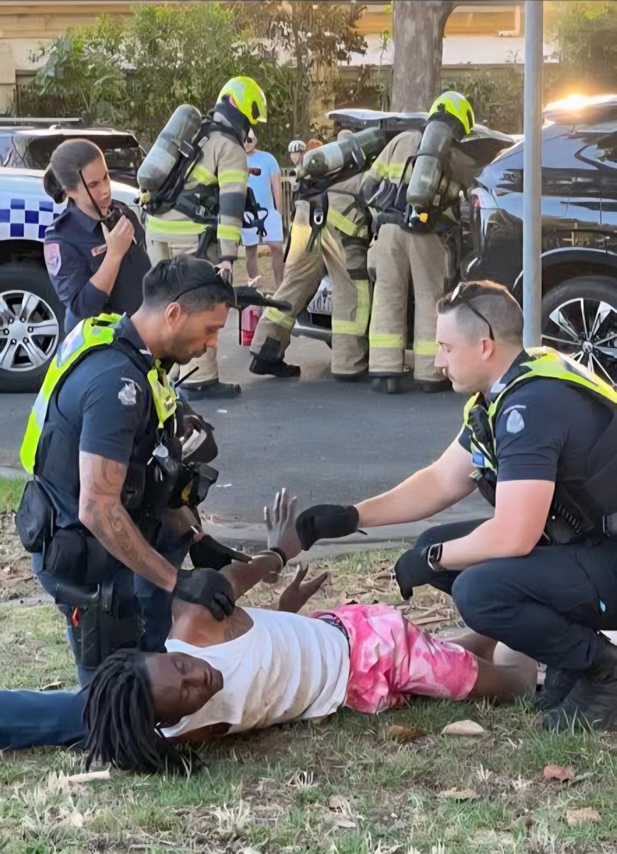 Police are investigating following a hit and run collision in Middle Park on 23 February.

It is understood a Silver Holden Commodore collided with ten unoccupied parked vehicles on Richardson Street before allegedly attempting to leave the scene just after 7pm. 

A local