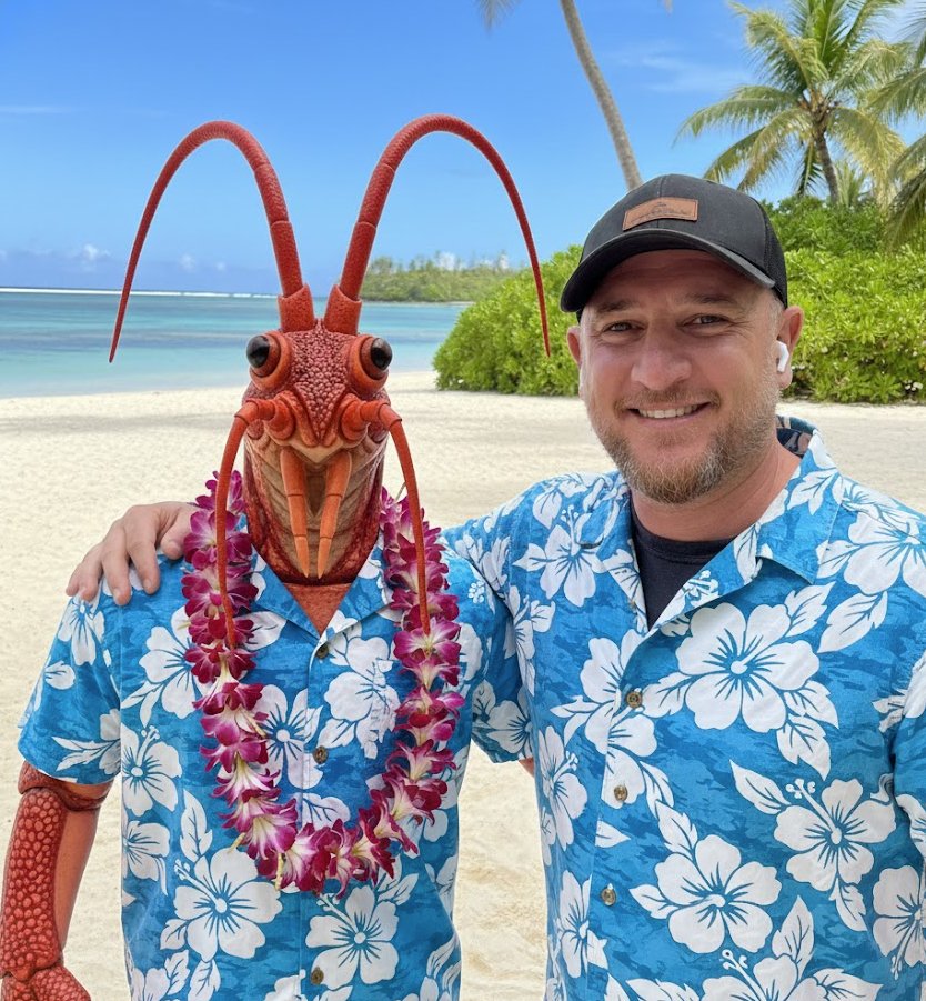 FRΞUDIX tweet media