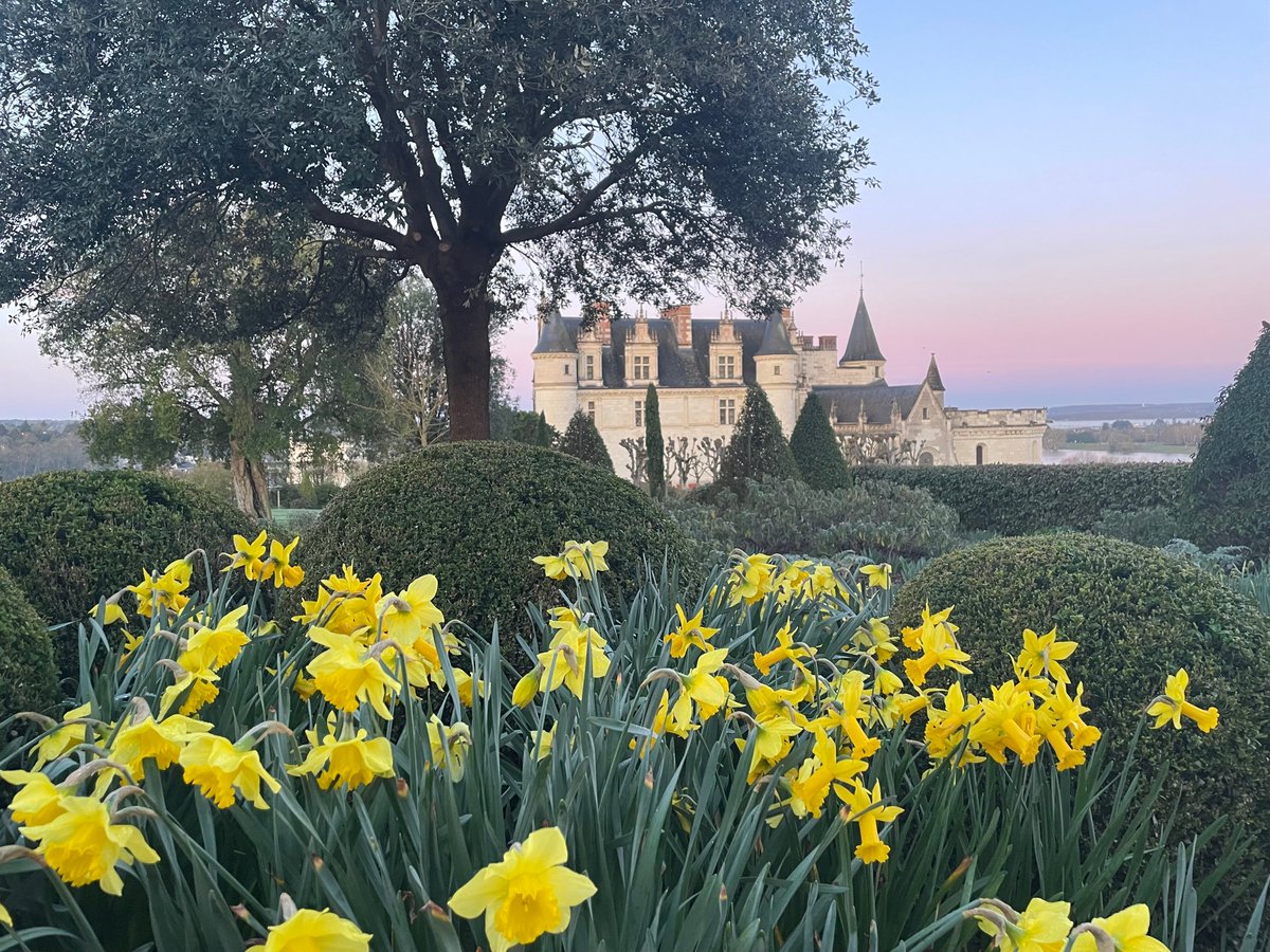 Château Royal d'Amboise tweet media