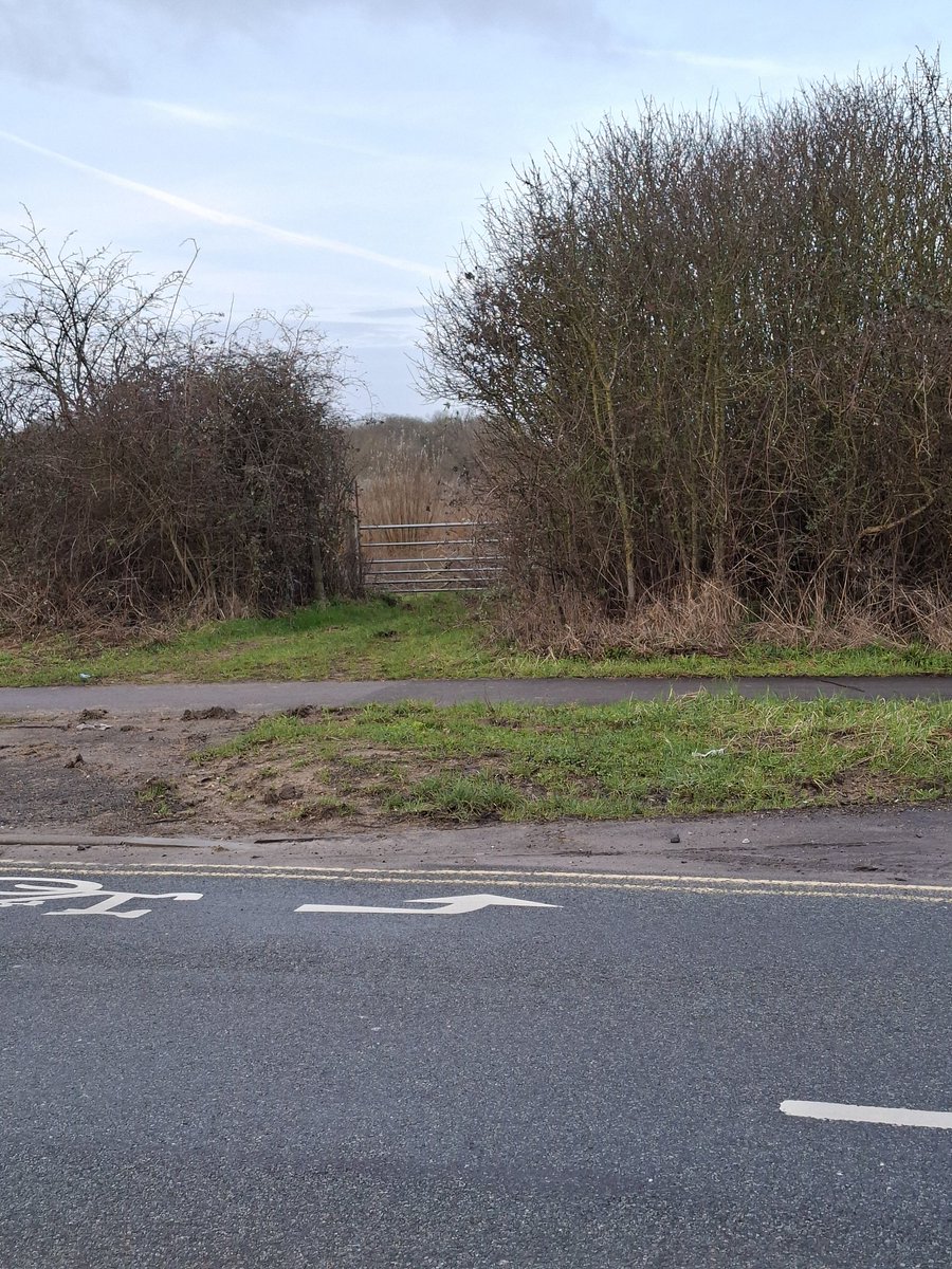 HasTheStadiumBeenBuiltYet tweet media