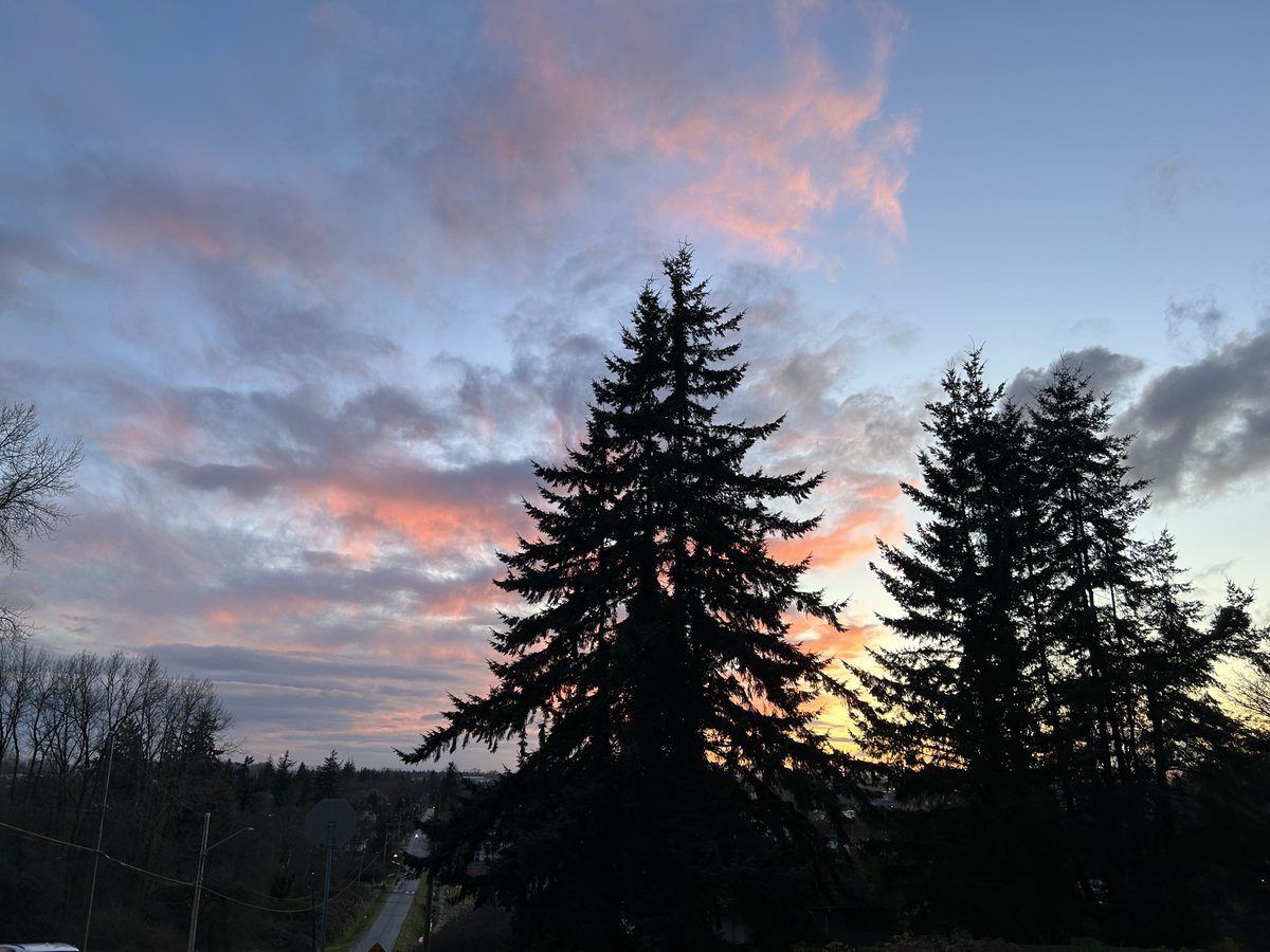 Drawable tweet media