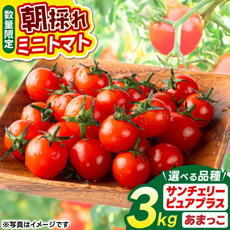 茨城県鹿嶋市ふるさと納税【公式】 tweet media