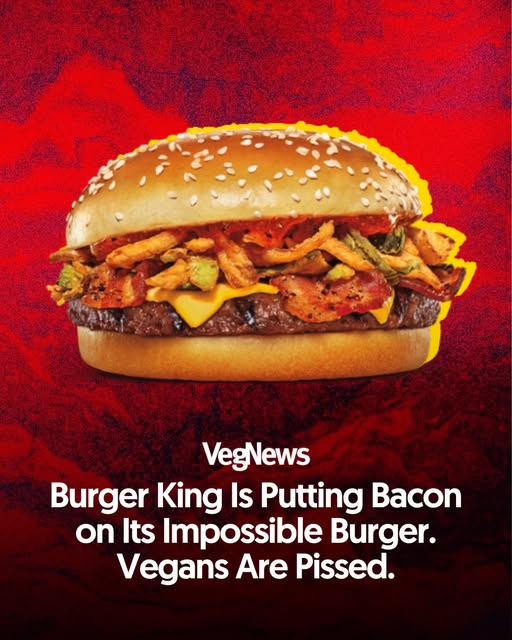VegNews tweet media