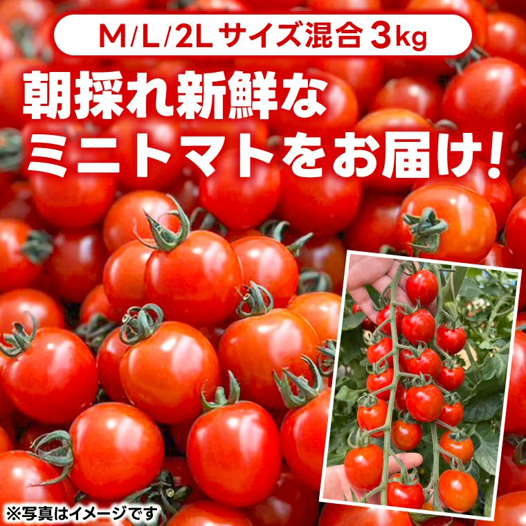 茨城県鹿嶋市ふるさと納税【公式】 tweet media