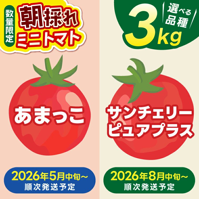 茨城県鹿嶋市ふるさと納税【公式】 tweet media