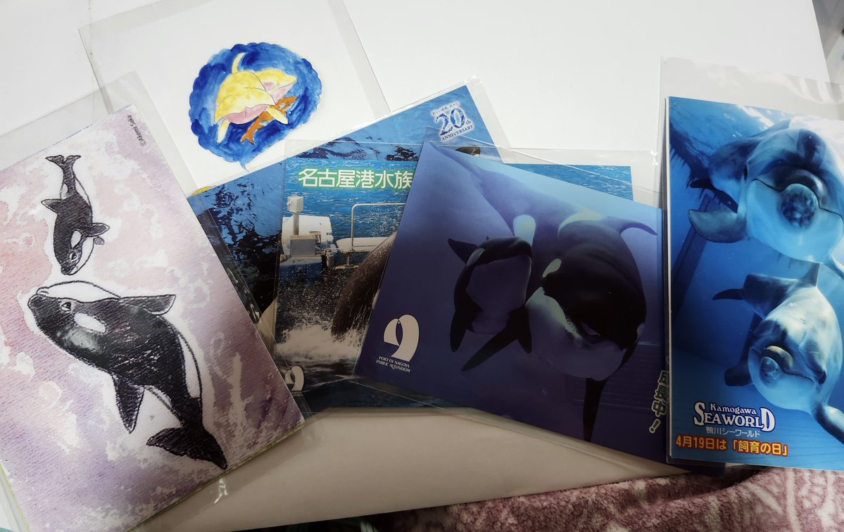 探しものは何ですか？ アクアマリンふくしまのくらまる年パスだけ出て