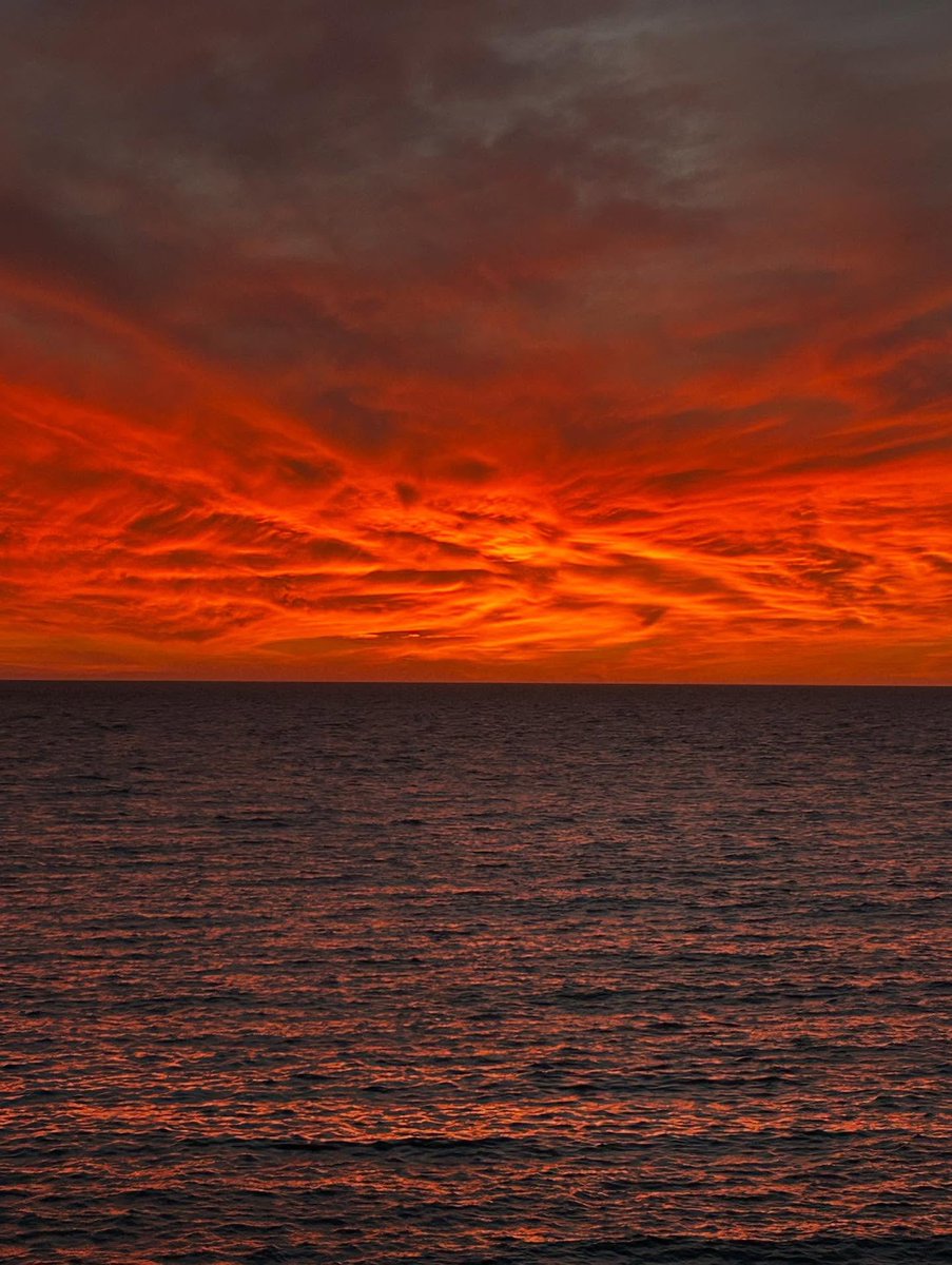 Archillct tweet media