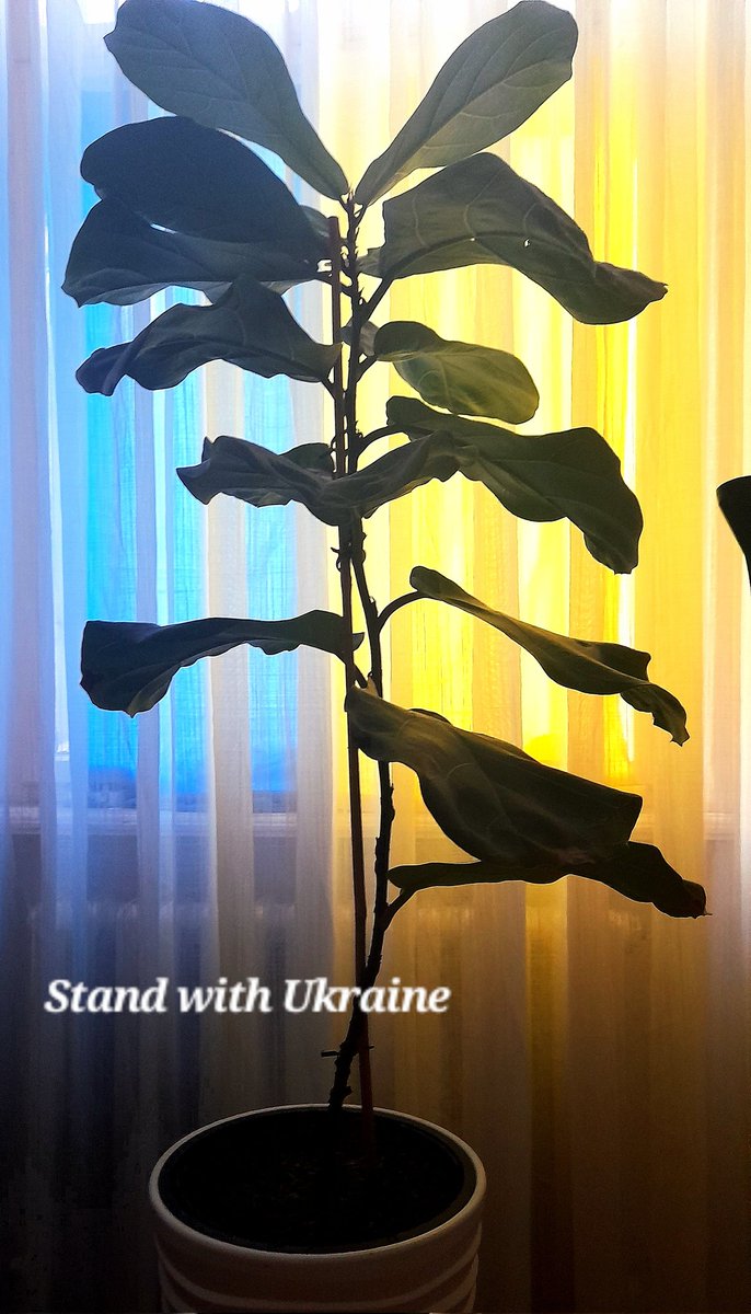 SimsalaMaya's tweet photo. Russia is a terrorist state!
Stand with Ukraine! Defend Europe!
#StrongerTogether #EuropeUnited 🇺🇦🌻🇪🇺 https://t.co/GMJqDfGfnC