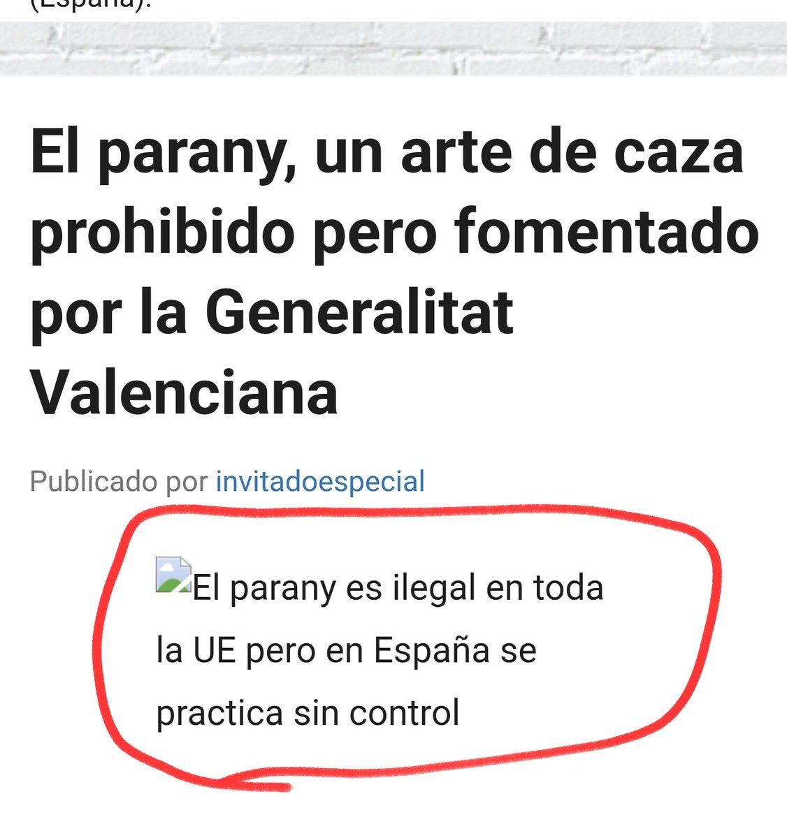 som_ull tweet media