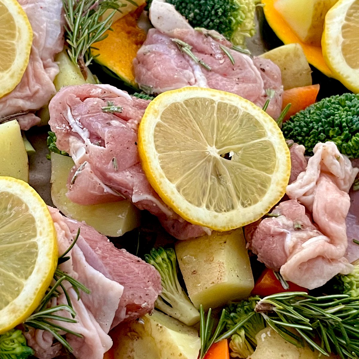 🦴🐕 tweet media