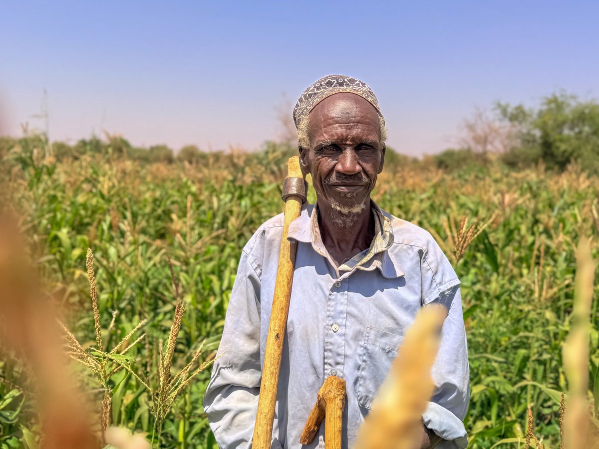 Through Fodder In Ethiopia’s borderlands, 260 hectares of land that once lay abandoned ...