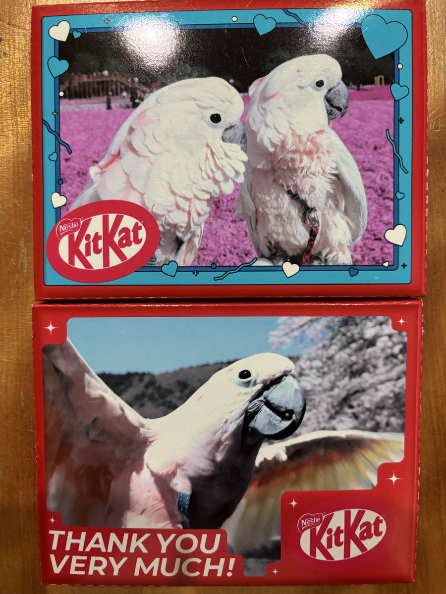 鳥友さんから素敵なチョコレートをいただきました。😍
めっちゃ素敵💓

#チョコ
#キットカット
#オオバタン
#鳥