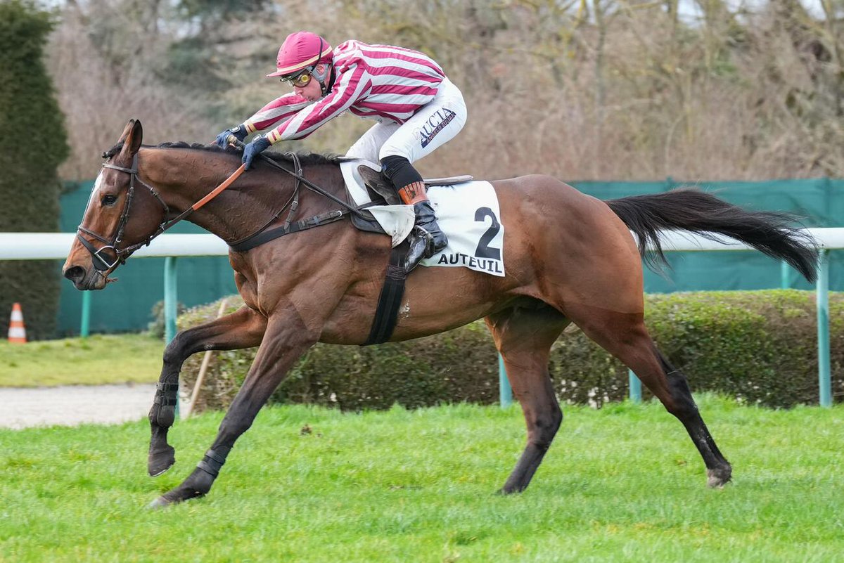 canalturf's tweet image. 🏁Arrivée du Prix Juigné (Gr.III), lundi, hippodrome d'Auteuil
🥇SAIN D'ESPRIT, ou le carton plein de François Nicolle 
▶️canalturf.com/infos-hippique… @EcurieNicolle @angelozuliani @Hippo_Auteuil #pmu #resultatspmu #obstacles