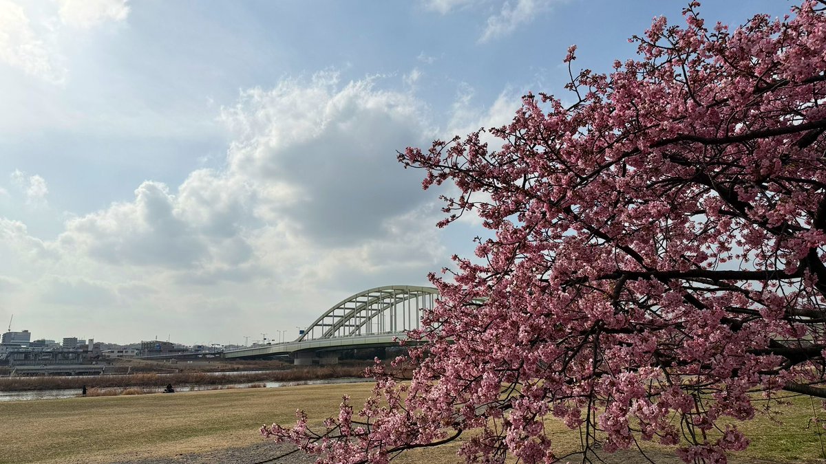 なんだかもう春が来てますね。
#春 #多摩川 #ぽかぽか