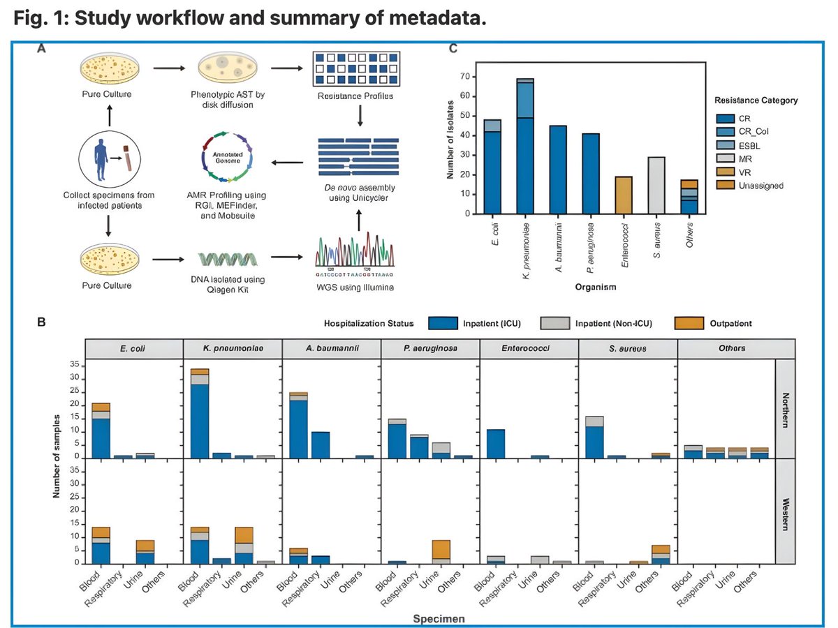 Koita Centre for Digital Health - Ashoka (KCDH-A) tweet media