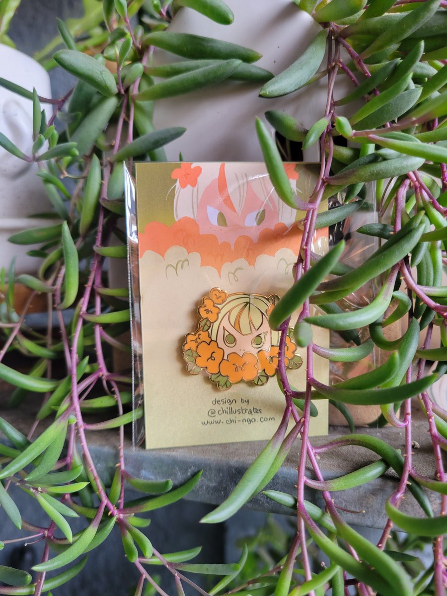 chi 🍋 ECCC O26 tweet media