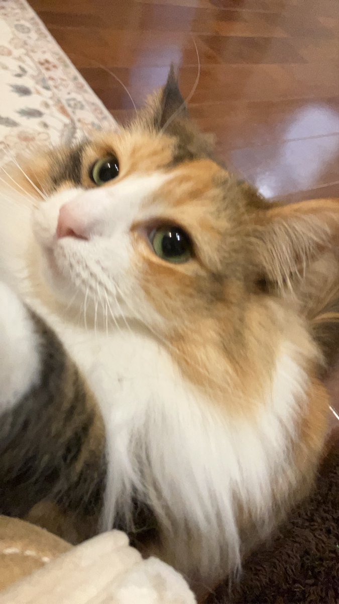 sekikekeke's tweet photo. 💓 https://t.co/yXP5z6ayZw