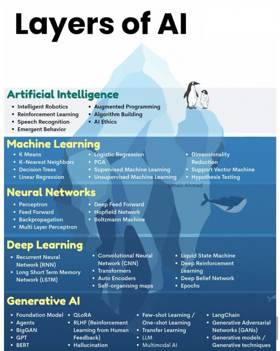 Python Developer tweet media