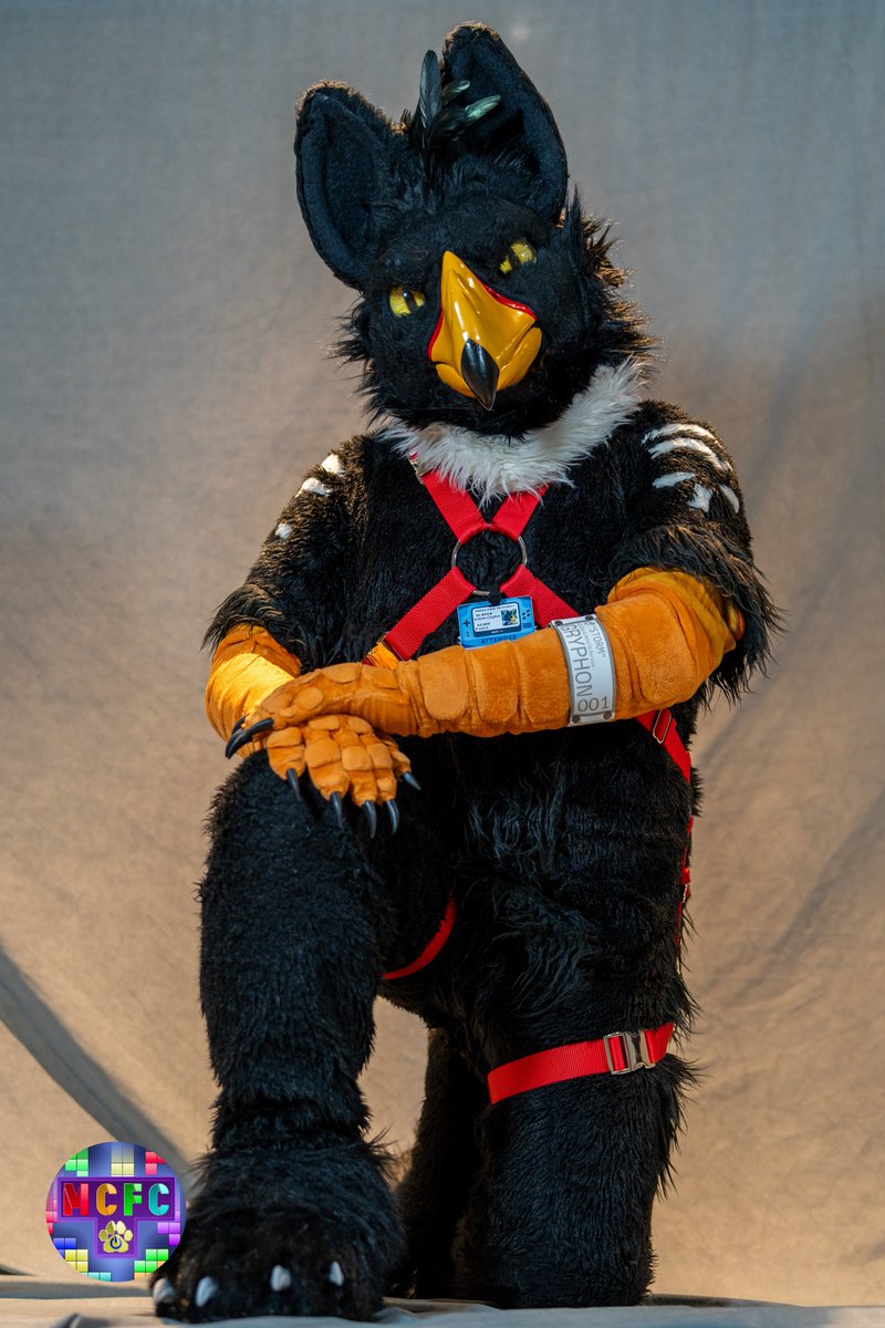 The StudGryph Experience ⛈️ 🔜 MFF tweet media