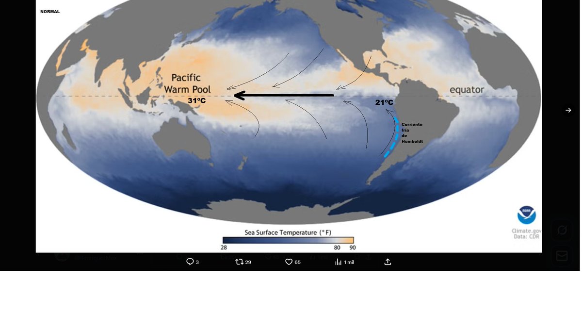 En los próximos meses se debilitan los vientos Alisios y la corriente de Humboldt, que habitualmente mantienen esa diferencia entre las temperaturas frente a Suramérica (21ºC) y las de la piscina cálida de Oceanía-Asia (31ºC). Se forma una contracorriente y arranca el Niño