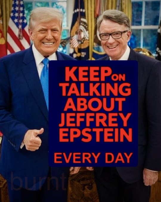 Brown Eyed Susan tweet media