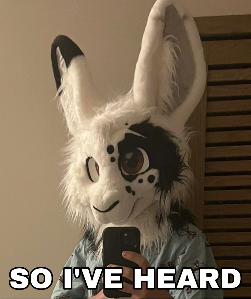 Spit at everything BLFC tweet media