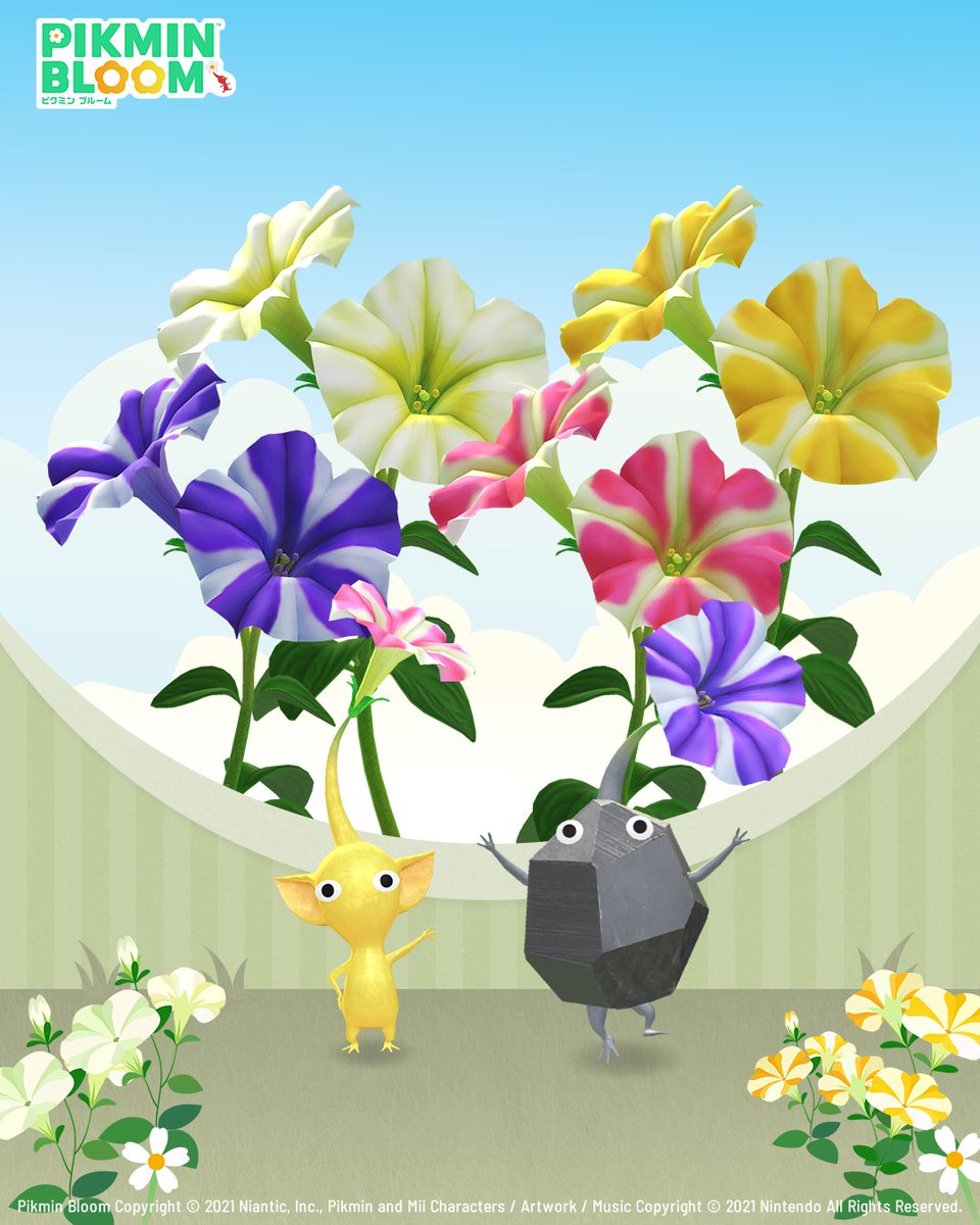 Pikmin Bloom Japan │ ピクミンブルーム (@PikminBloom_jp) / Posts / X
