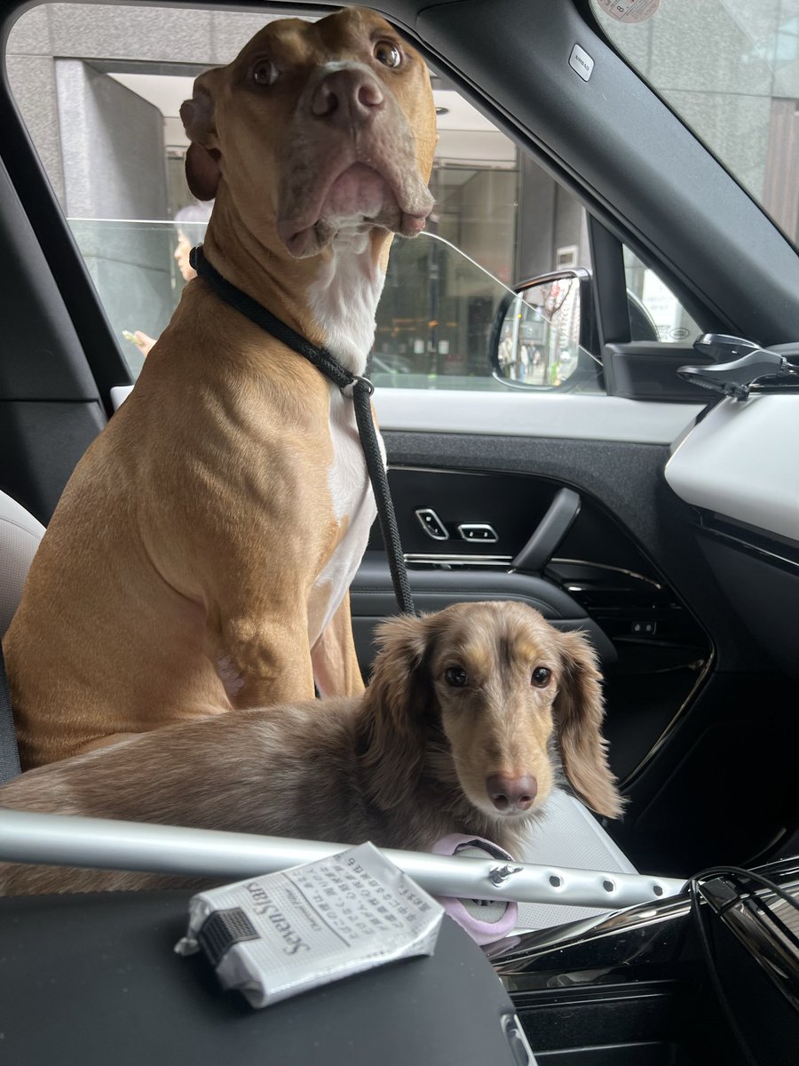 山口祥行 (@Yo4y69yama) / Posts / X