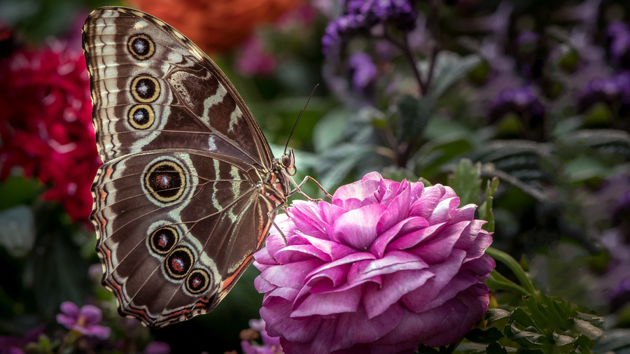 Валентина Валерьева tweet media