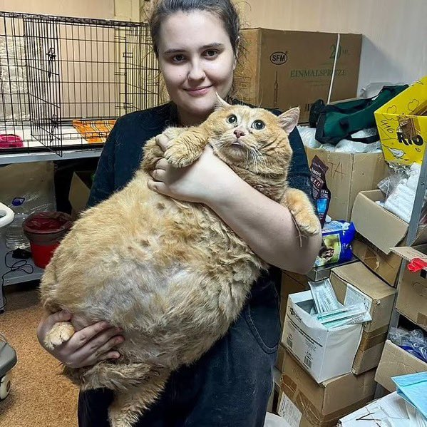 🖥️🐰まおまおがお誕生日を迎えたし、何か縁起のいいおはまちこでもするかぁ～

🖥️🐰……

🖥️🐰<a href="/maomao_mew/">猫々💪🐱Vtuber【MarbleCreators】</a>

#おはようVtuber 
#おはまちこ🐰