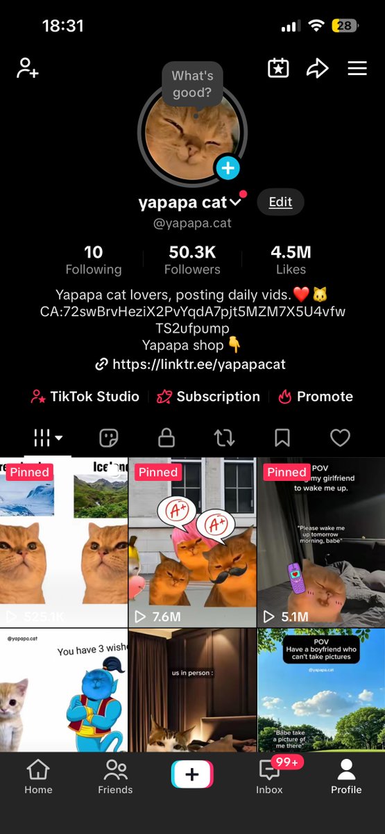 Yapapafan's tweet photo. @Ga__ke Many agents but only one cat famous https://t.co/IeZhfj5V3V