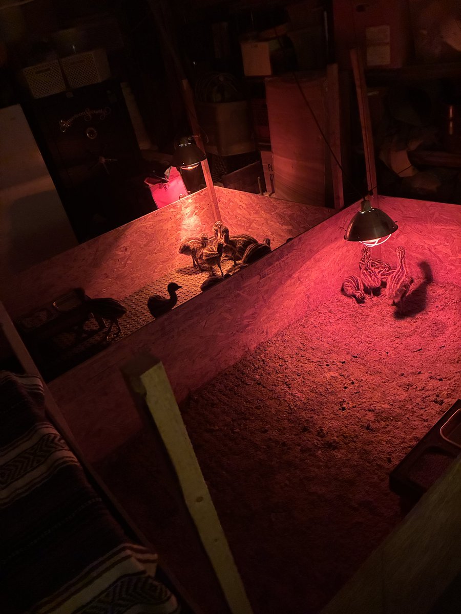 7 Springs Ranch tweet media