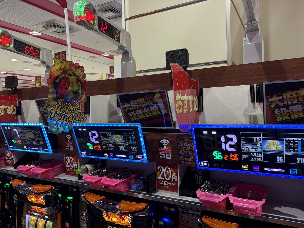 土日も🌺コーナー良かったらしいけど 今日もしっかり良さそう