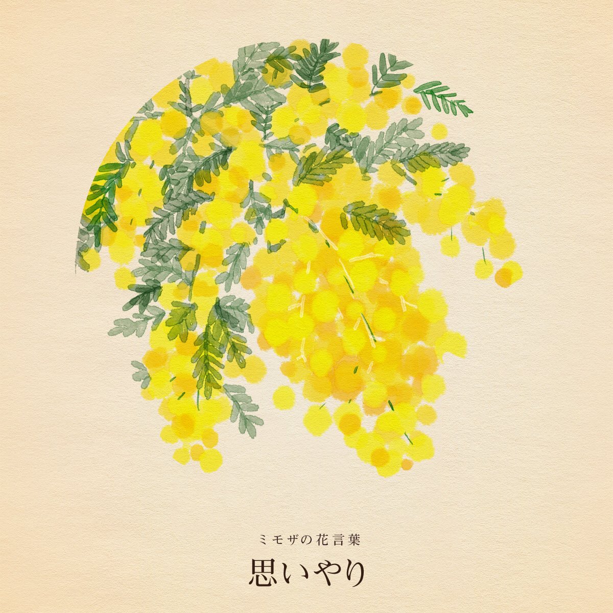 きょう3月8日は《ミモザの日》

この日は国際女性デーでもありますが、イタリアでは男性が日頃の感謝の気持ちを込めて、妻や恋人、身近の女性にミモザの花を贈る習慣があるそうです。 #ミモザの日 

春の訪れを告げる花
ミモザの花言葉は「思いやり」