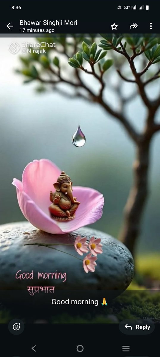 PRATAPS37530717's tweet photo. Good morning all my Friends https://t.co/gcM8A0EUyf