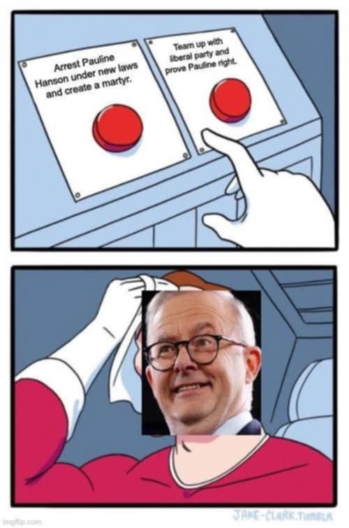 TopherField's tweet photo. Albo's strategists right now: https://t.co/o7NYfxolui