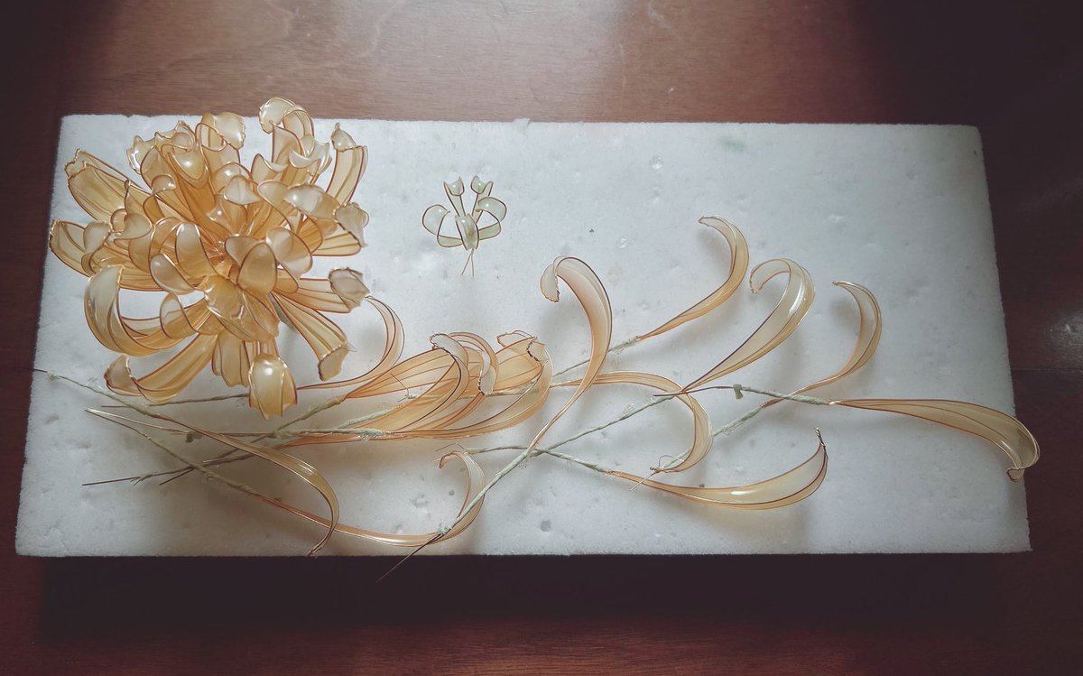 北風と太陽
て、思いながら写真撮ったけどただの熱風